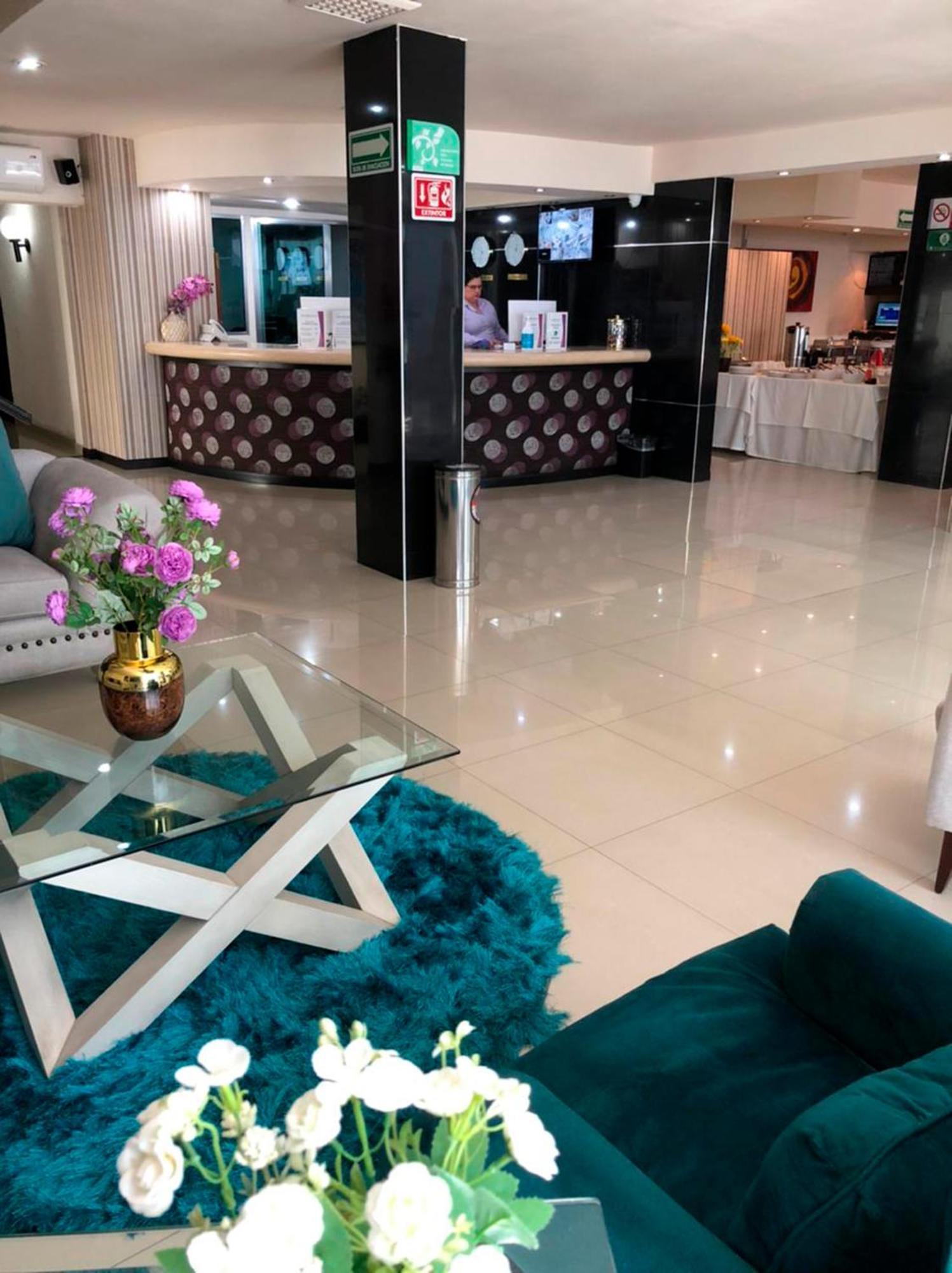Hotel Francis Culiacán エクステリア 写真